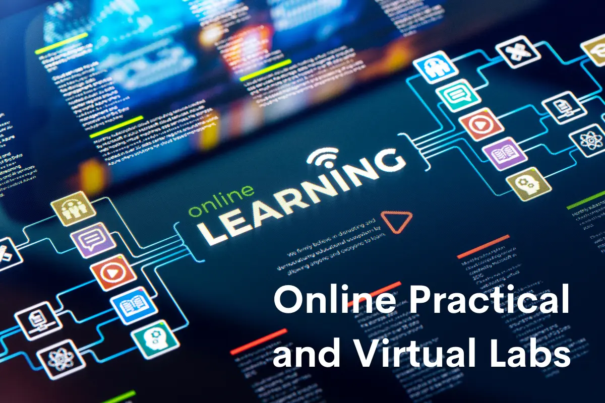 How can schools and universities conduct practicals online?